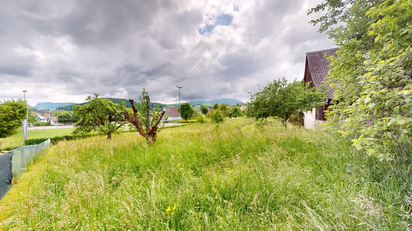 Terreno edificabile in vendita - 4424 Arboldswil - Foto 3