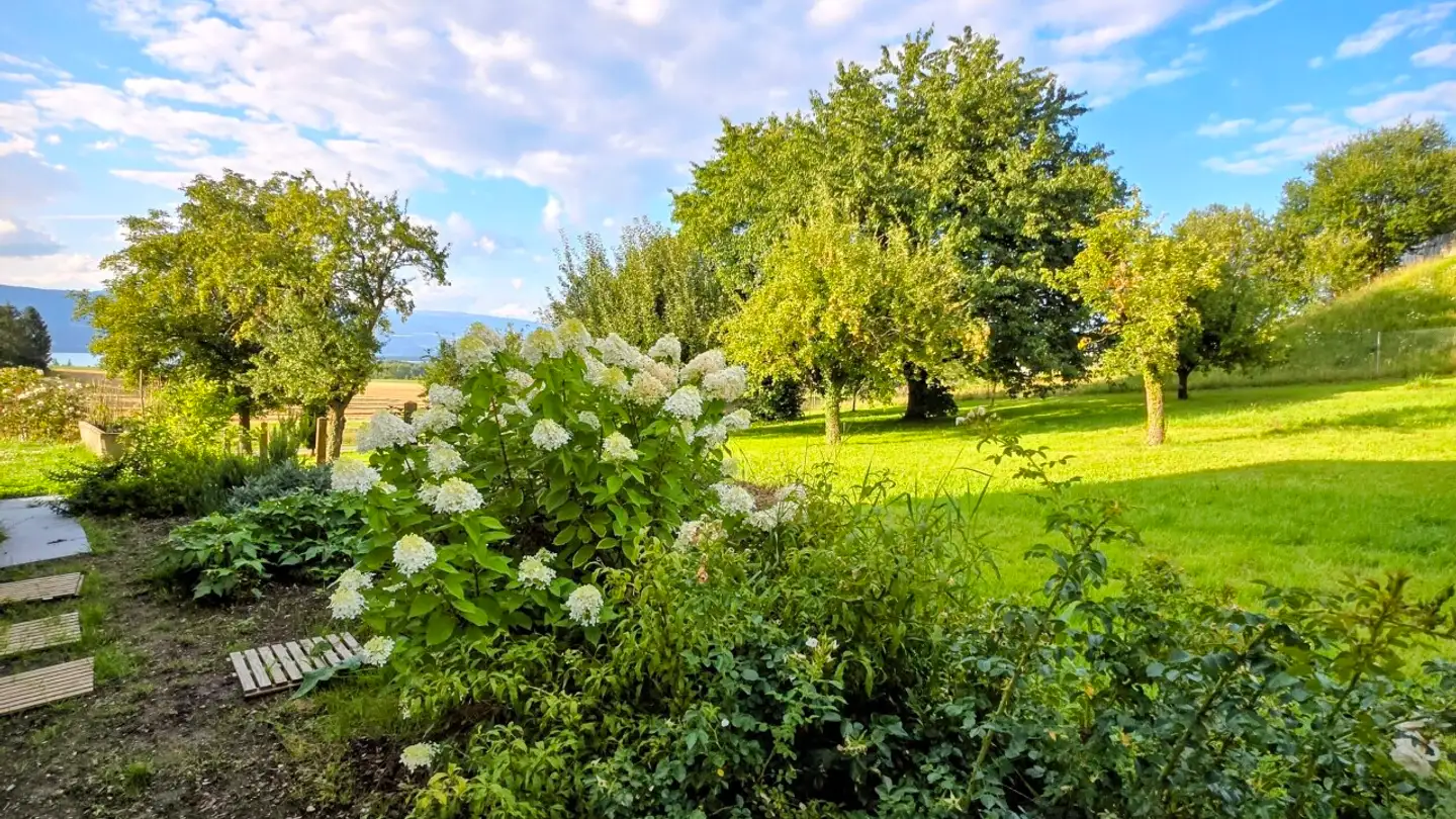 Einfamilienhaus kaufen - 1588 Cudrefin - Foto 2