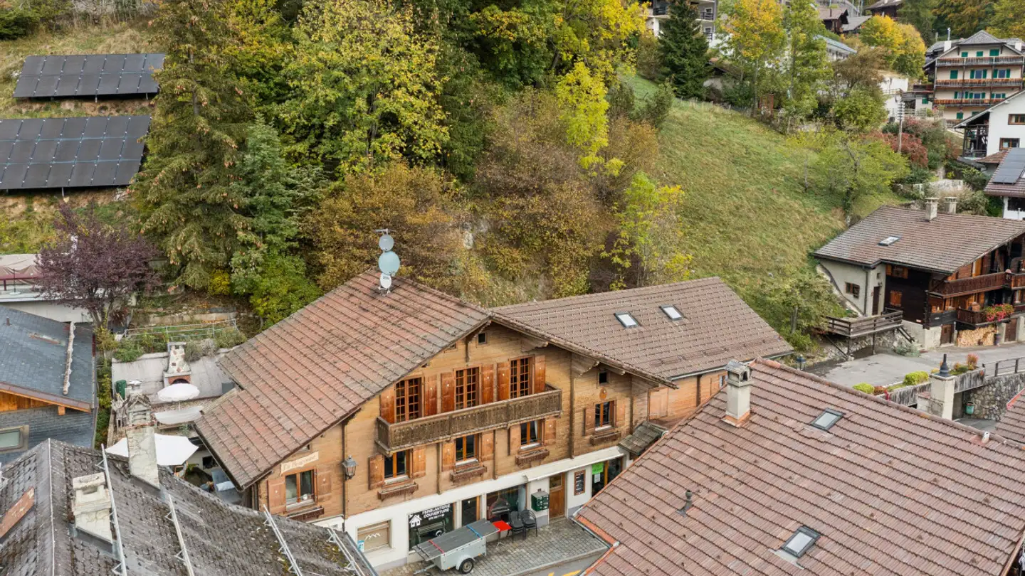 Residential building for sale - 1882 Gryon