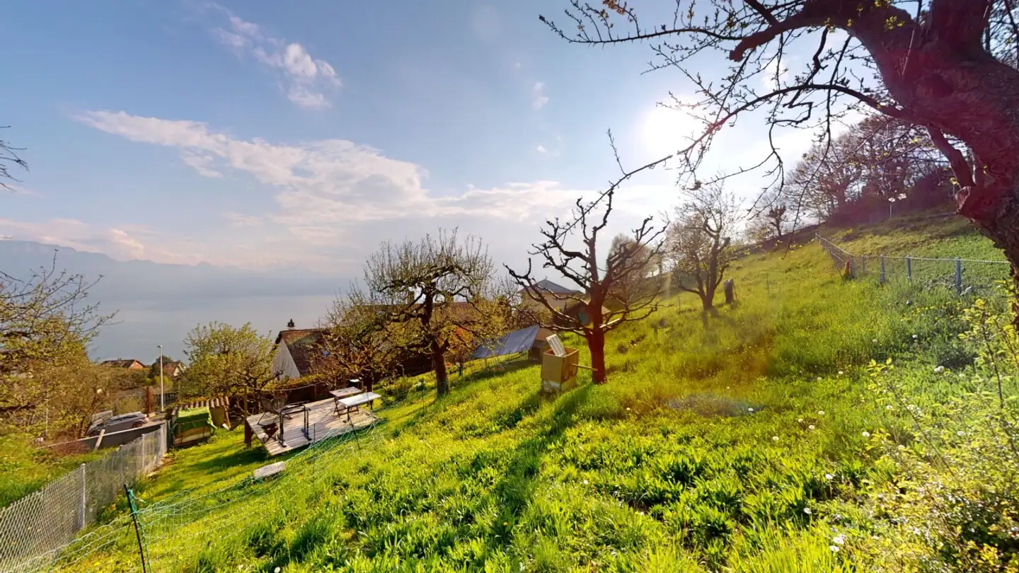 Terreno edificabile in vendita - 1091 Grandvaux - Foto 2