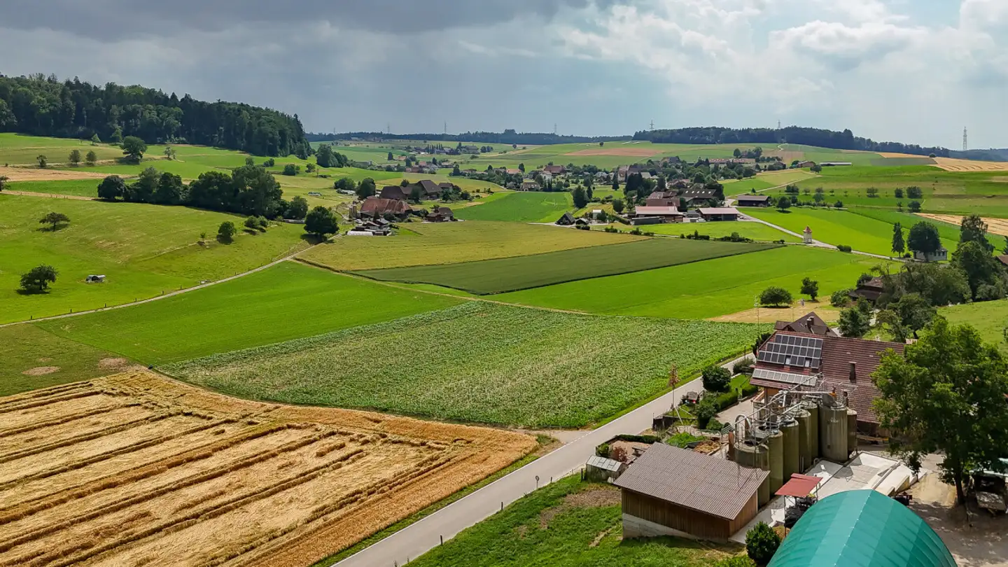 Einfamilienhaus kaufen - 3365 Grasswil - Foto 2