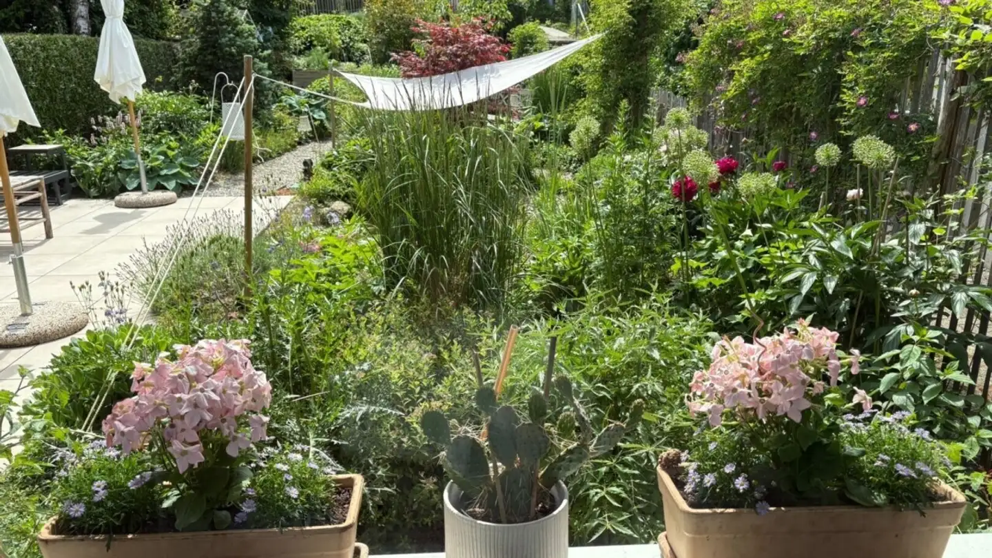 Casa a schiera in vendita - 8122 Binz