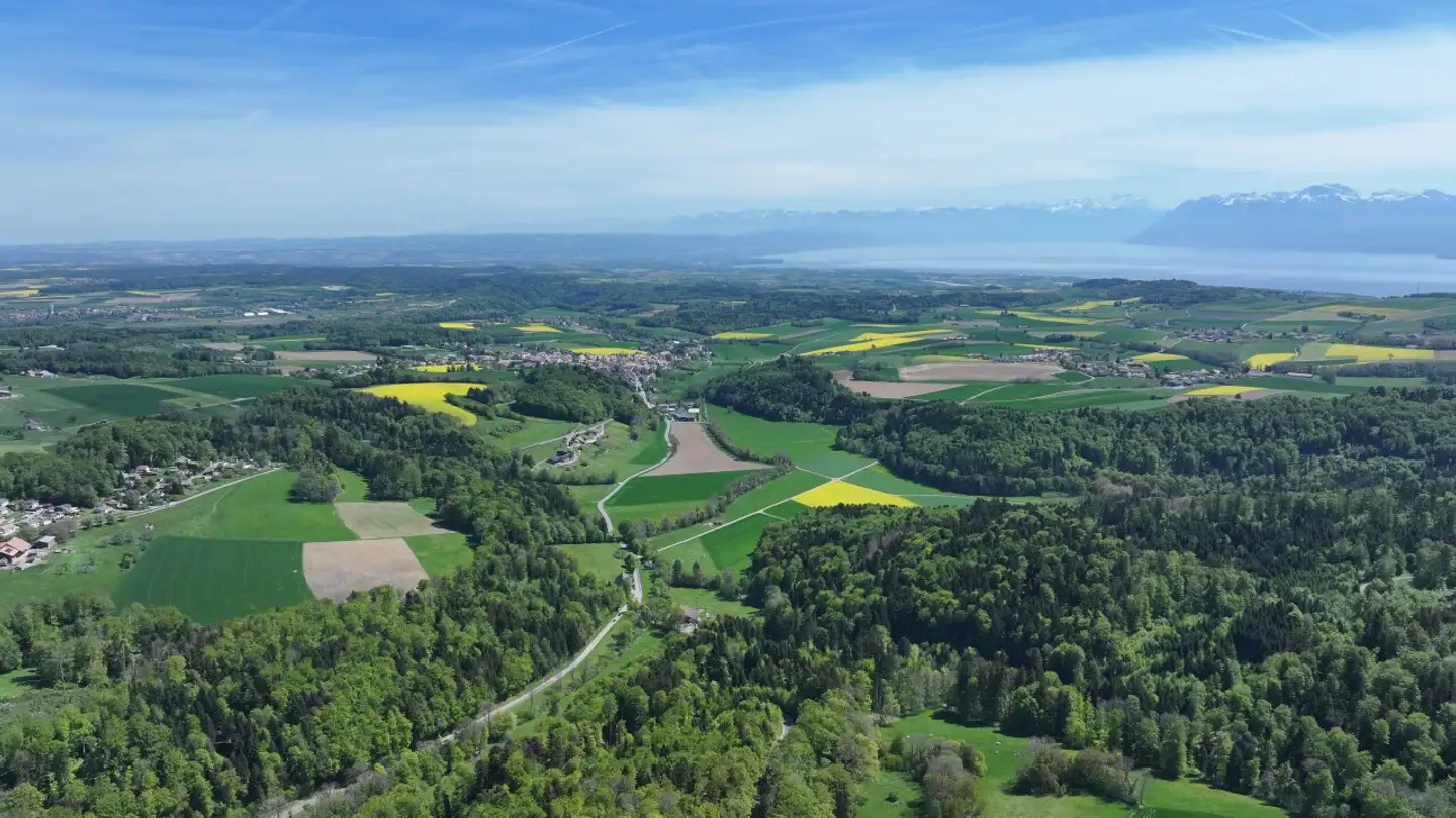 Maison individuelle à vendre - Route De St-George, 1188 Gimel - Photo 2