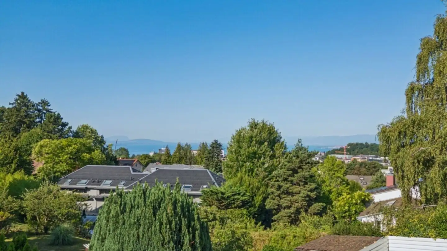 Attique à vendre - 1010 Lausanne