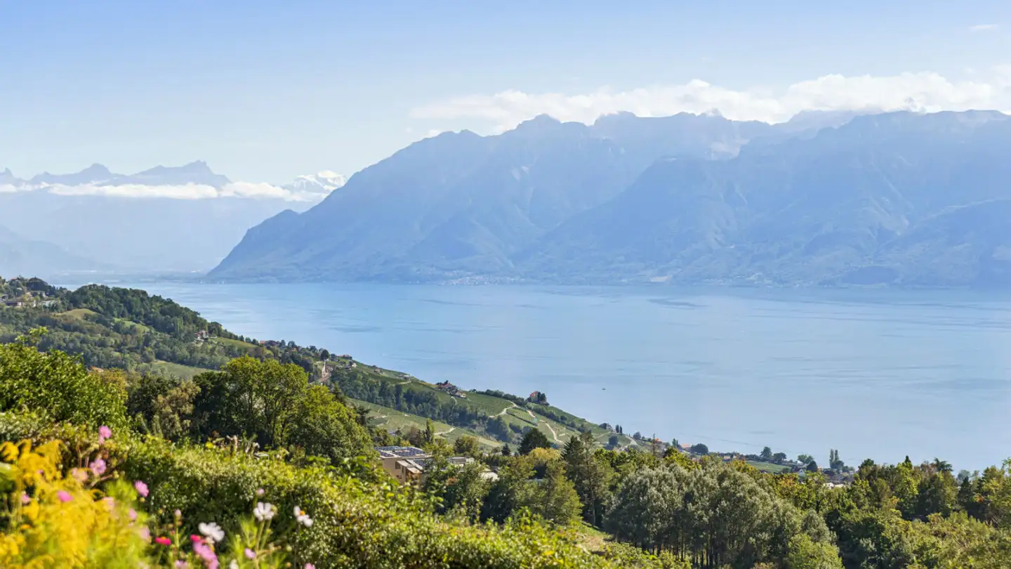 Single house for sale - 1092 Belmont-sur-Lausanne - Photo 2