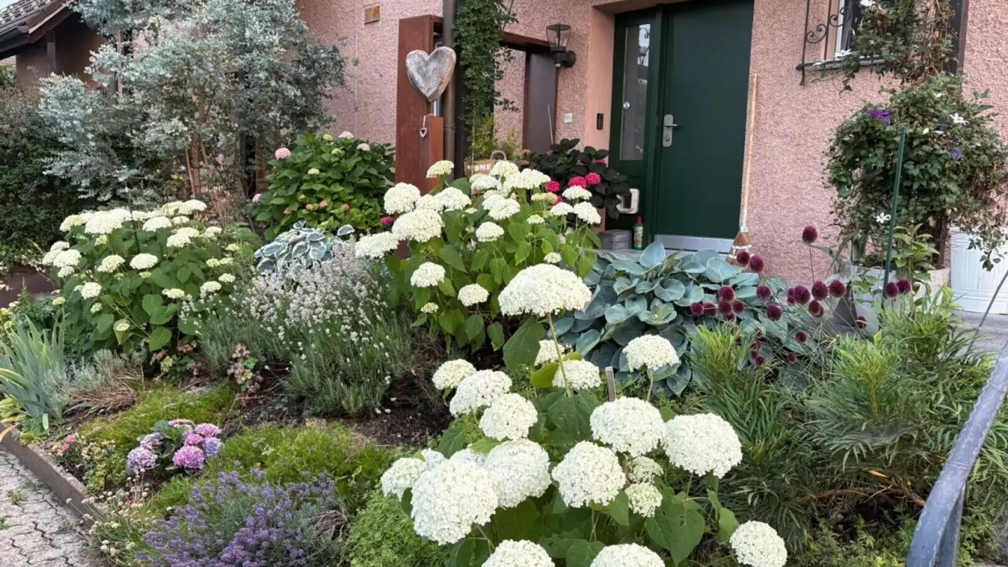 Casa a schiera in vendita - 8122 Binz - Foto 2