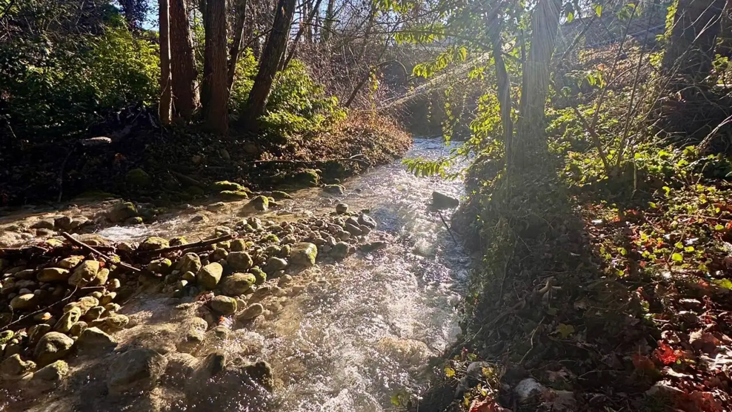 Casa a schiera in vendita - 1272 Genolier - Foto 3