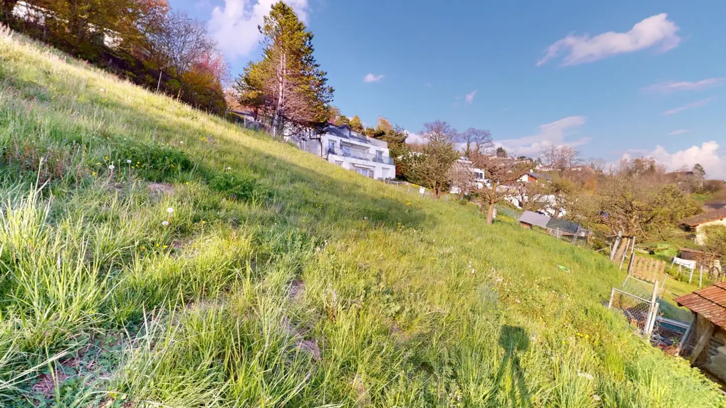 Terreno edificabile in vendita - 1091 Grandvaux - Foto 3