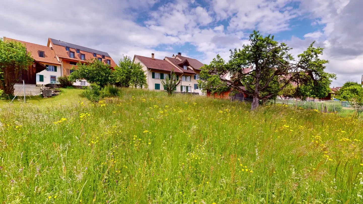 Terreno edificabile in vendita - 4424 Arboldswil - Foto 4