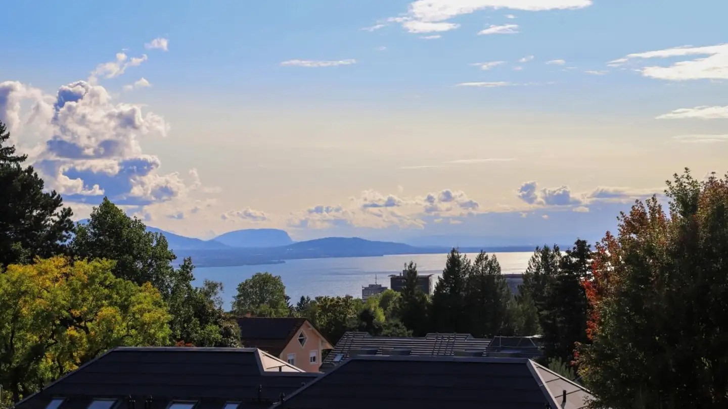 Penthouse for sale - 1010 Lausanne - Photo 3