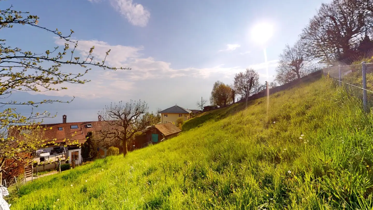 Terreno edificabile in vendita - 1091 Grandvaux - Foto 4