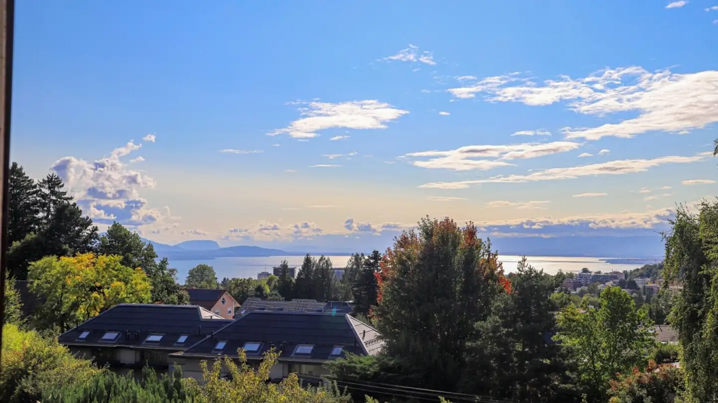 Penthouse for sale - 1010 Lausanne - Photo 2