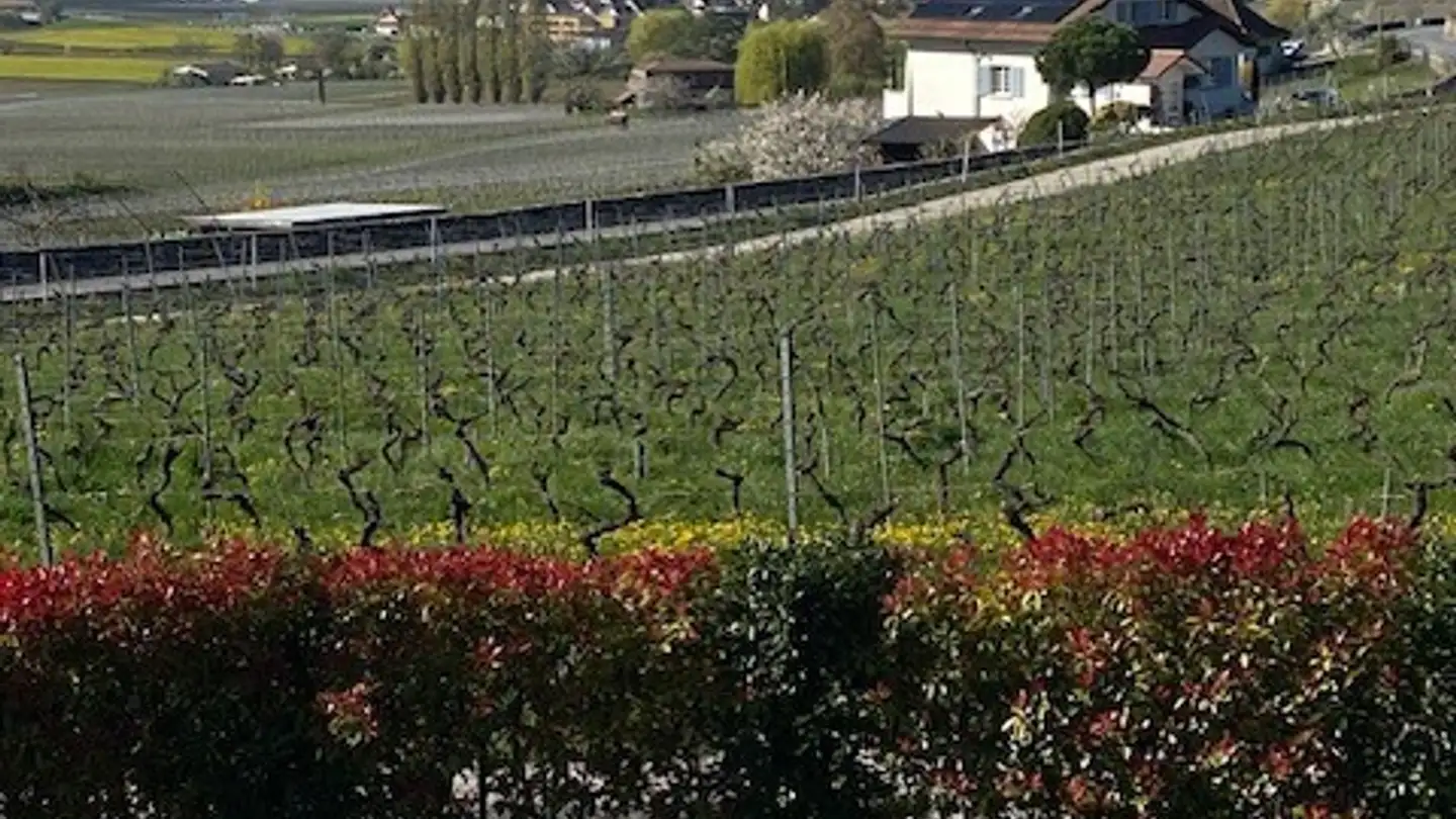 Maison en terrasse à vendre - 1170 Aubonne - Photo 4