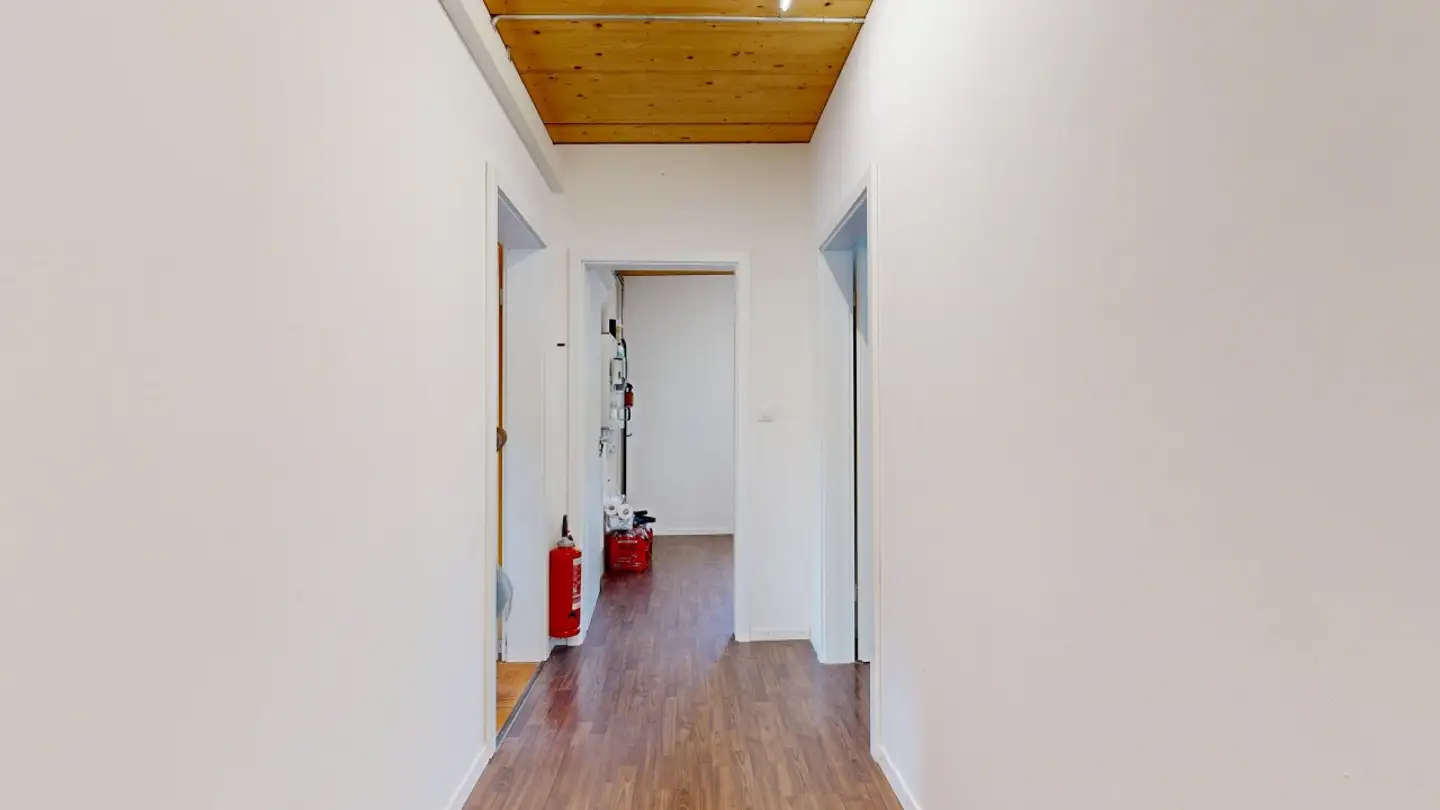 Single house for sale - 4222 Zwingen - Photo 4