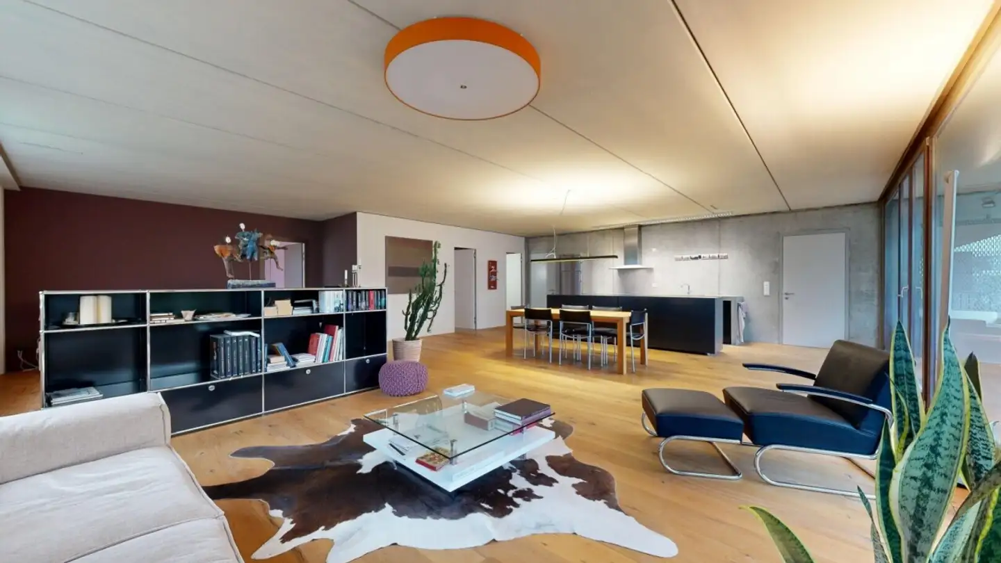 Loft for sale - 8805 Richterswil