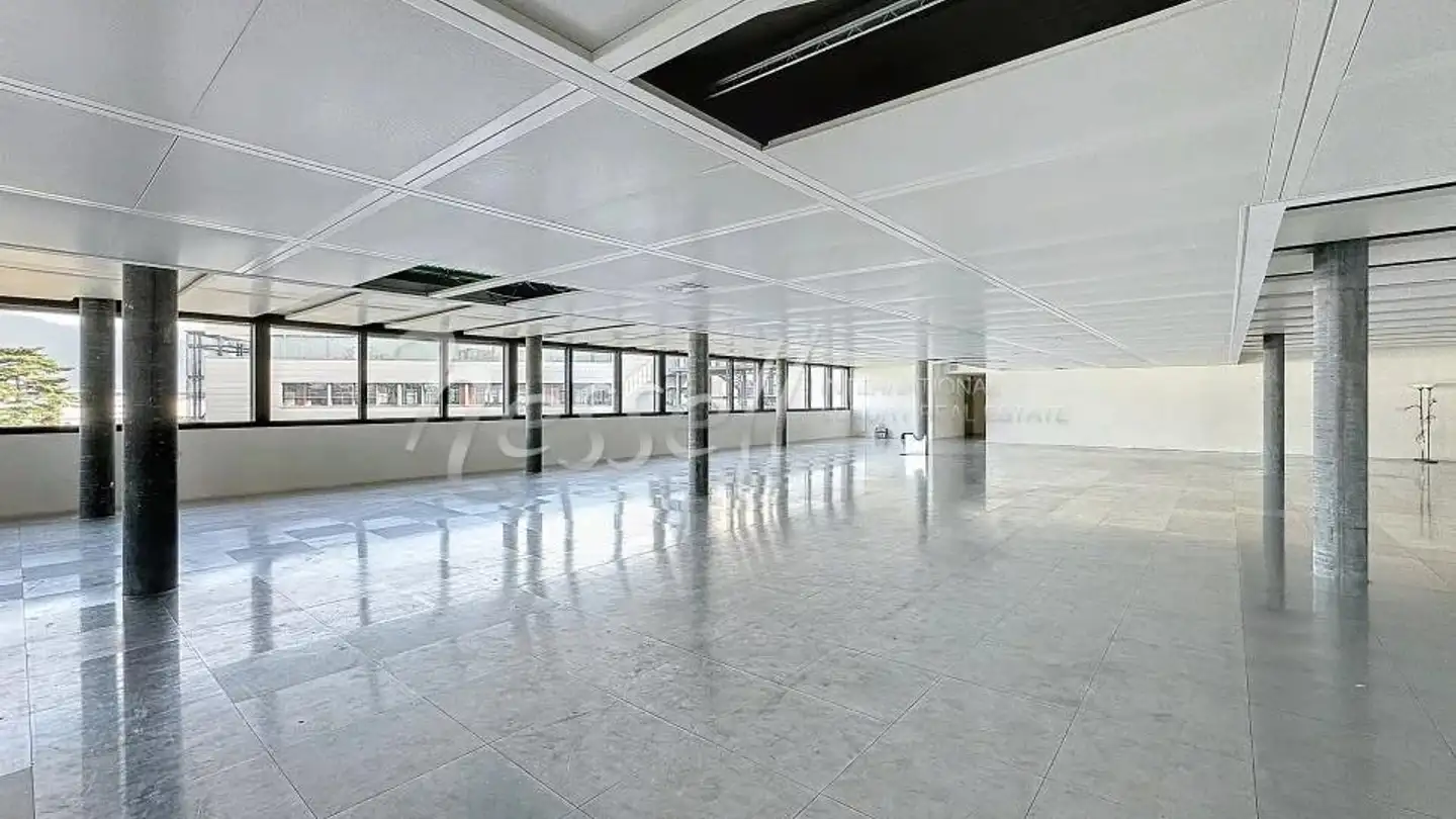 Spazio ufficio in affitto - 1214 Vernier - Photo 3