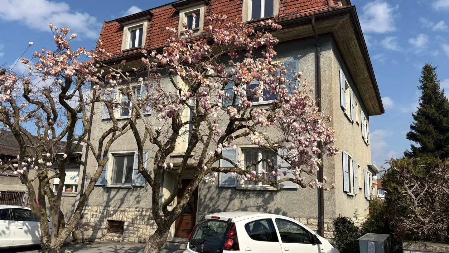 Appartamento in affitto - 2950 Courgenay - Foto 2