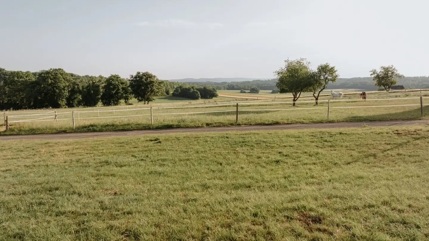 Constructible plot for sale - Route De Porrentruy 40, 2915 Bure - Photo 4