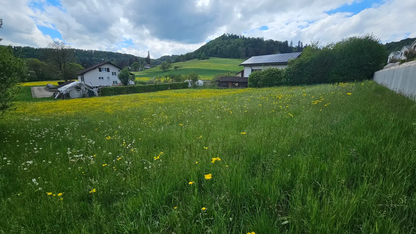 Bauland kaufen - Route Du Jura, 2812 Movelier - Foto 4