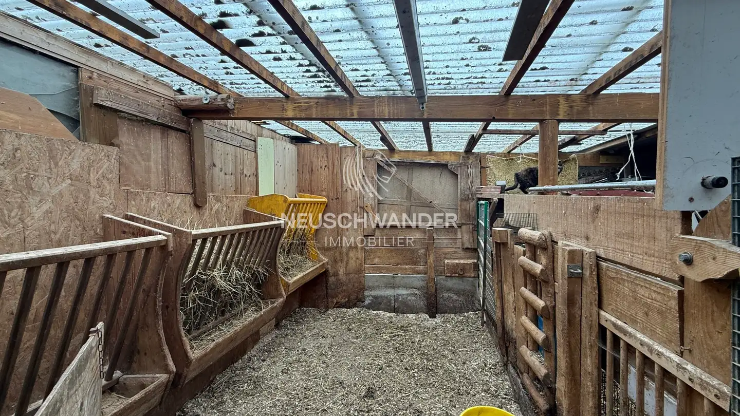 Einfamilienhaus kaufen - 2805 Soyhières - Foto 3