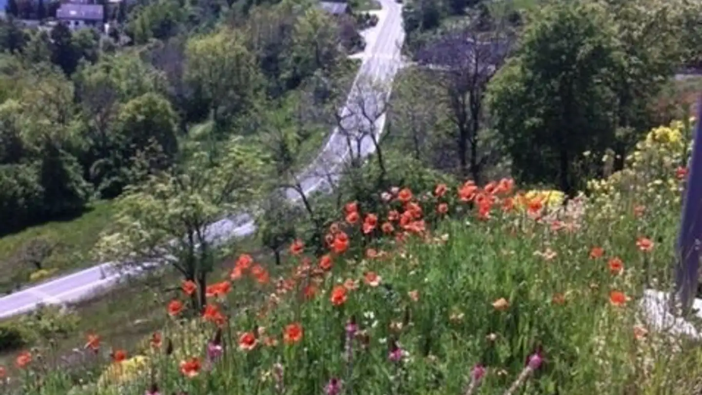 Terrain constructible à vendre - 3974 Mollens VS - Photo 3