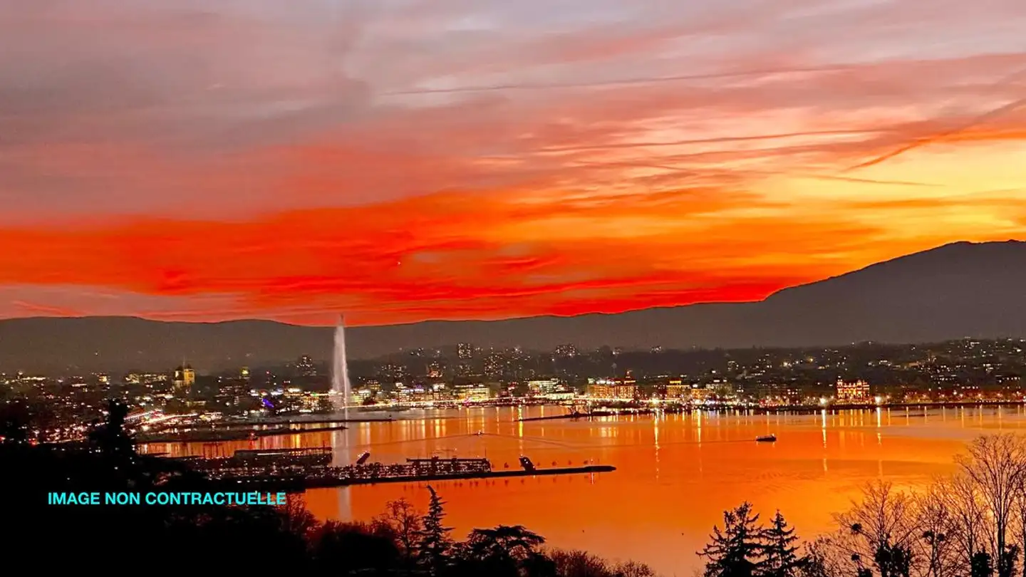 Casa singola in vendita - 1223 Cologny - Photo 3