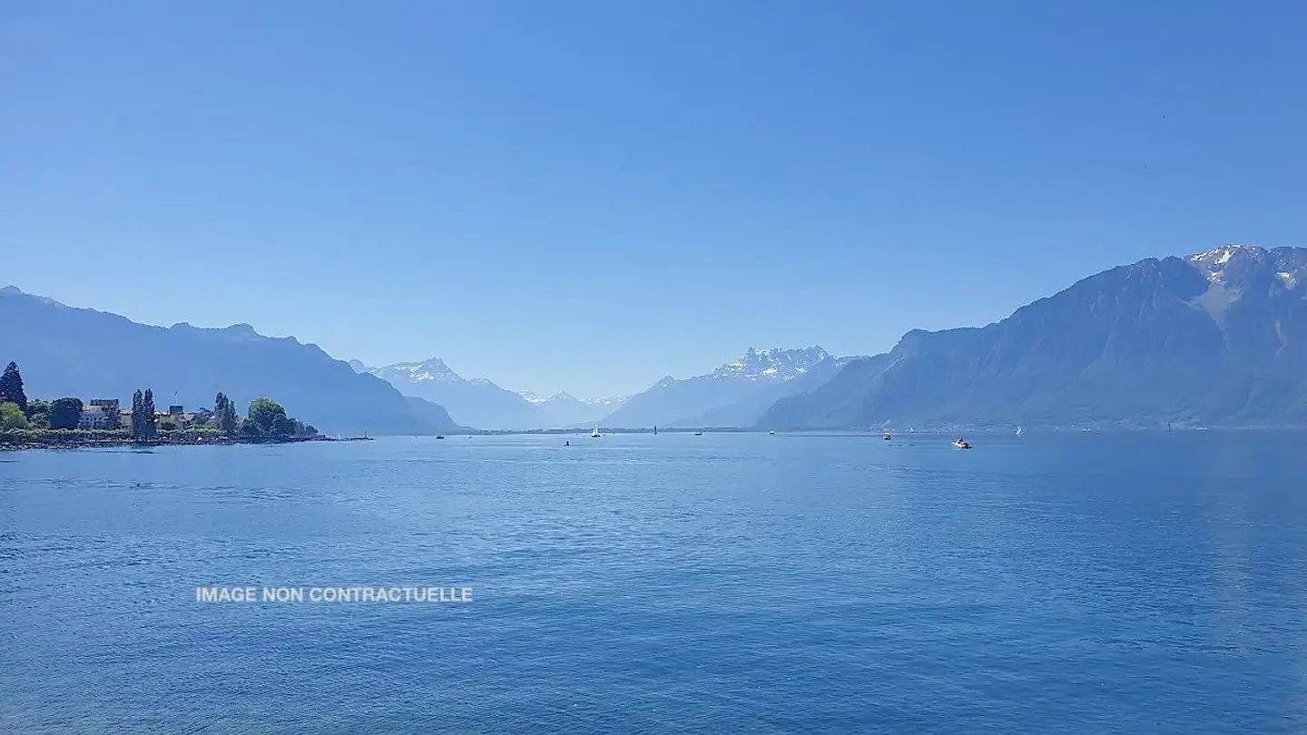 Commercial à vendre - 1800 Vevey