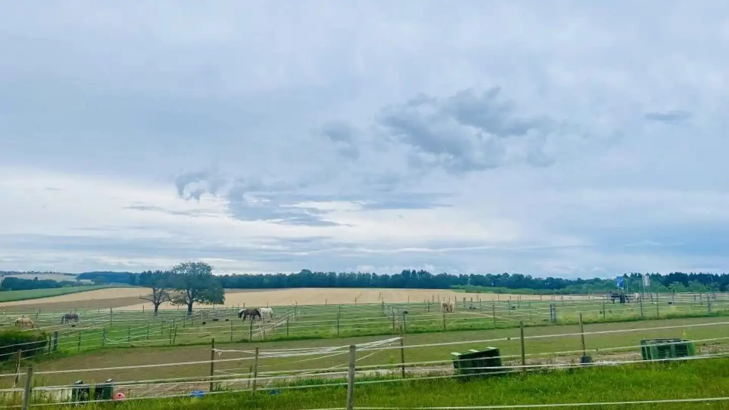 Appartamento in affitto - 1123 Aclens - Photo 4