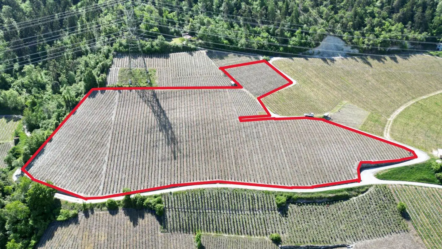 Bien immobilier à vendre - 3966 Chalais