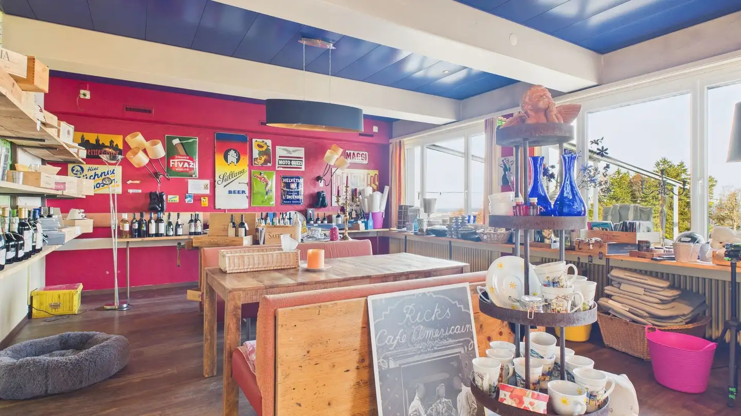 Loft in affitto - 8143 Stallikon - Photo 4