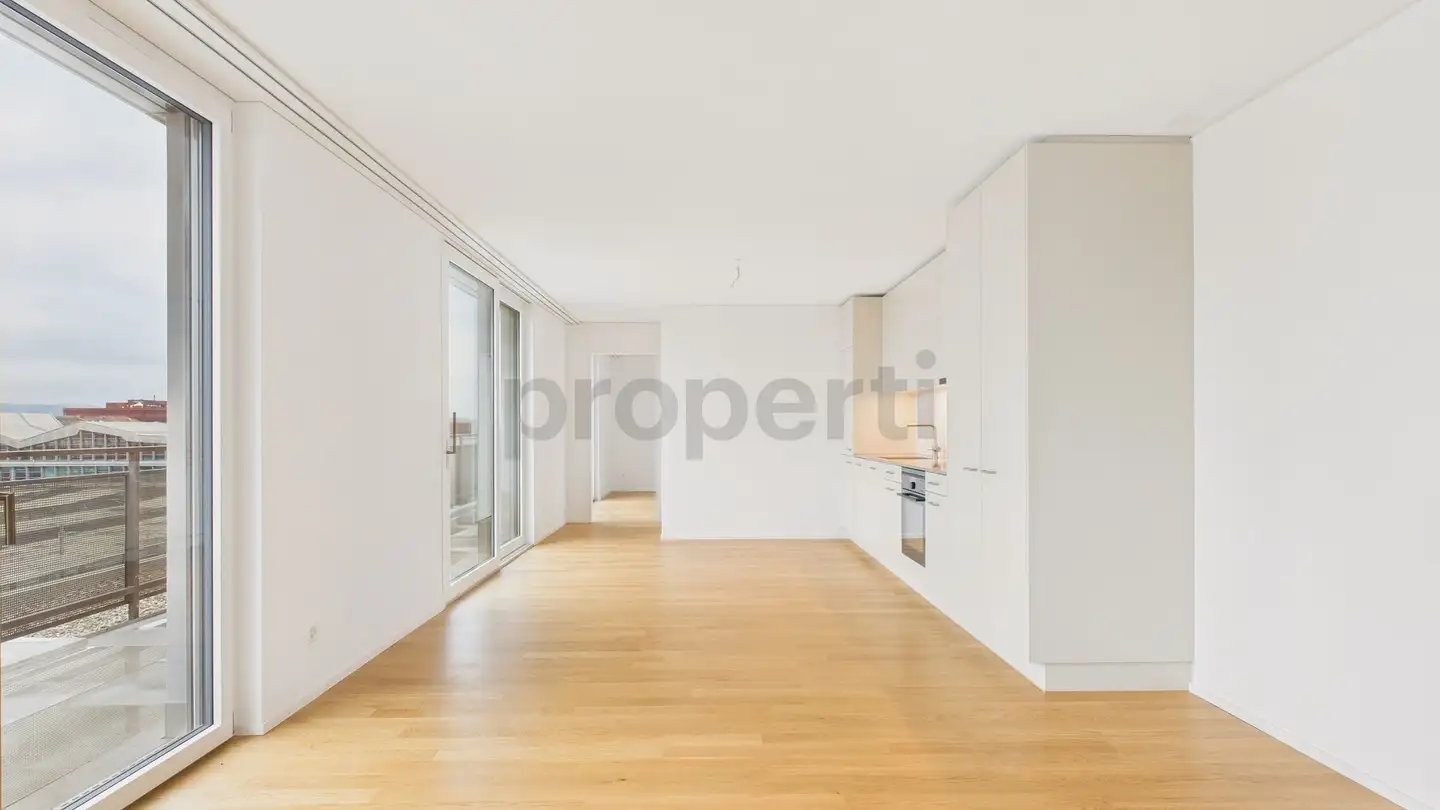 Appartamento in affitto - 4053 Basel