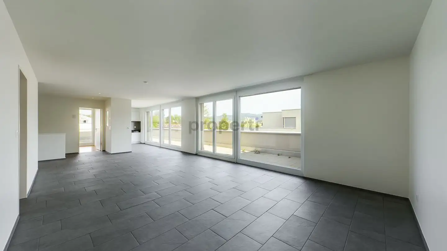 Penthouse for rent - 4242 Laufen