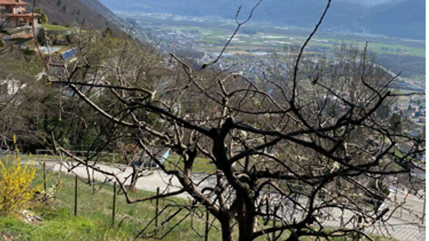 Constructible plot for sale - 6646 Contra - Photo 2