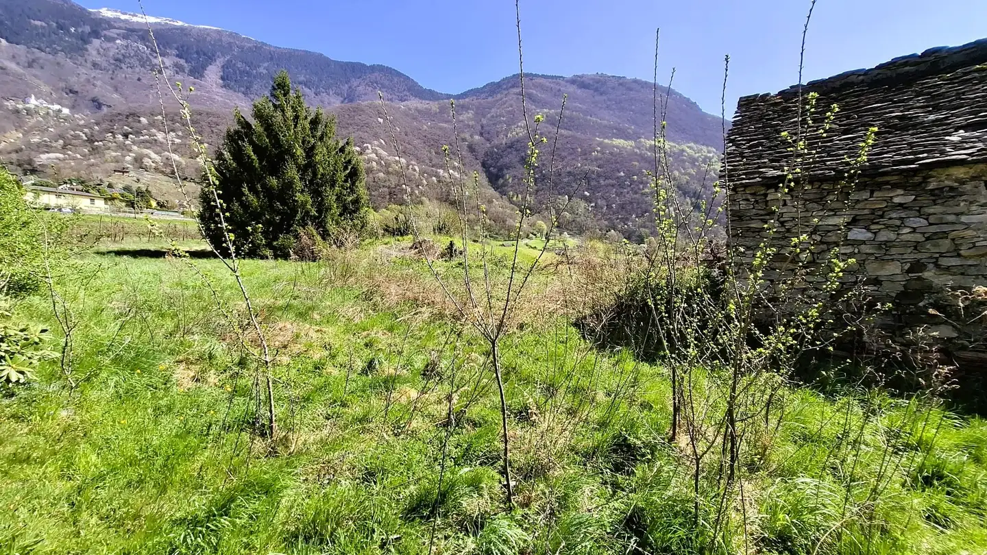 Terreno edificabile in vendita - 6702 Claro - Photo 2