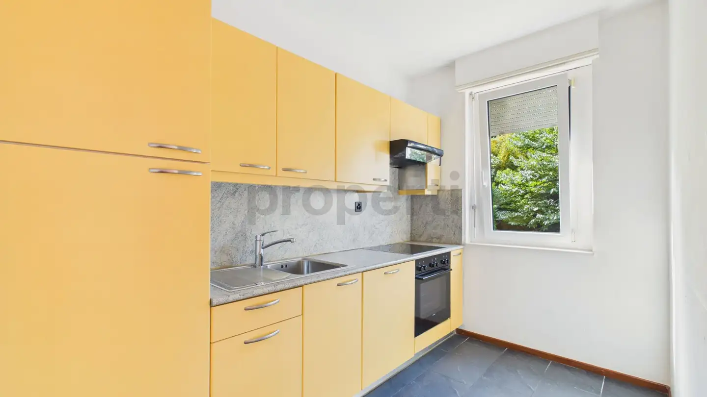 Appartement à vendre - 6900 Paradiso - Photo 4