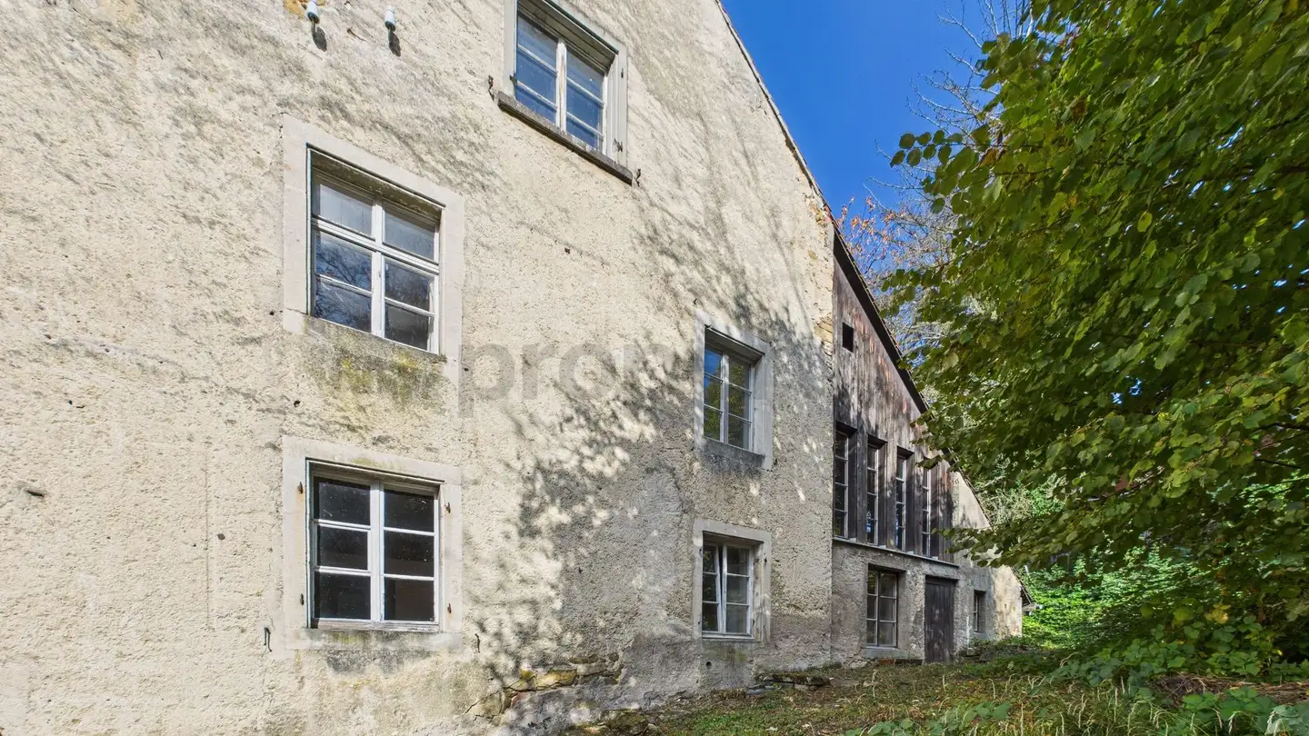 Einfamilienhaus kaufen - 4422 Arisdorf - Foto 4