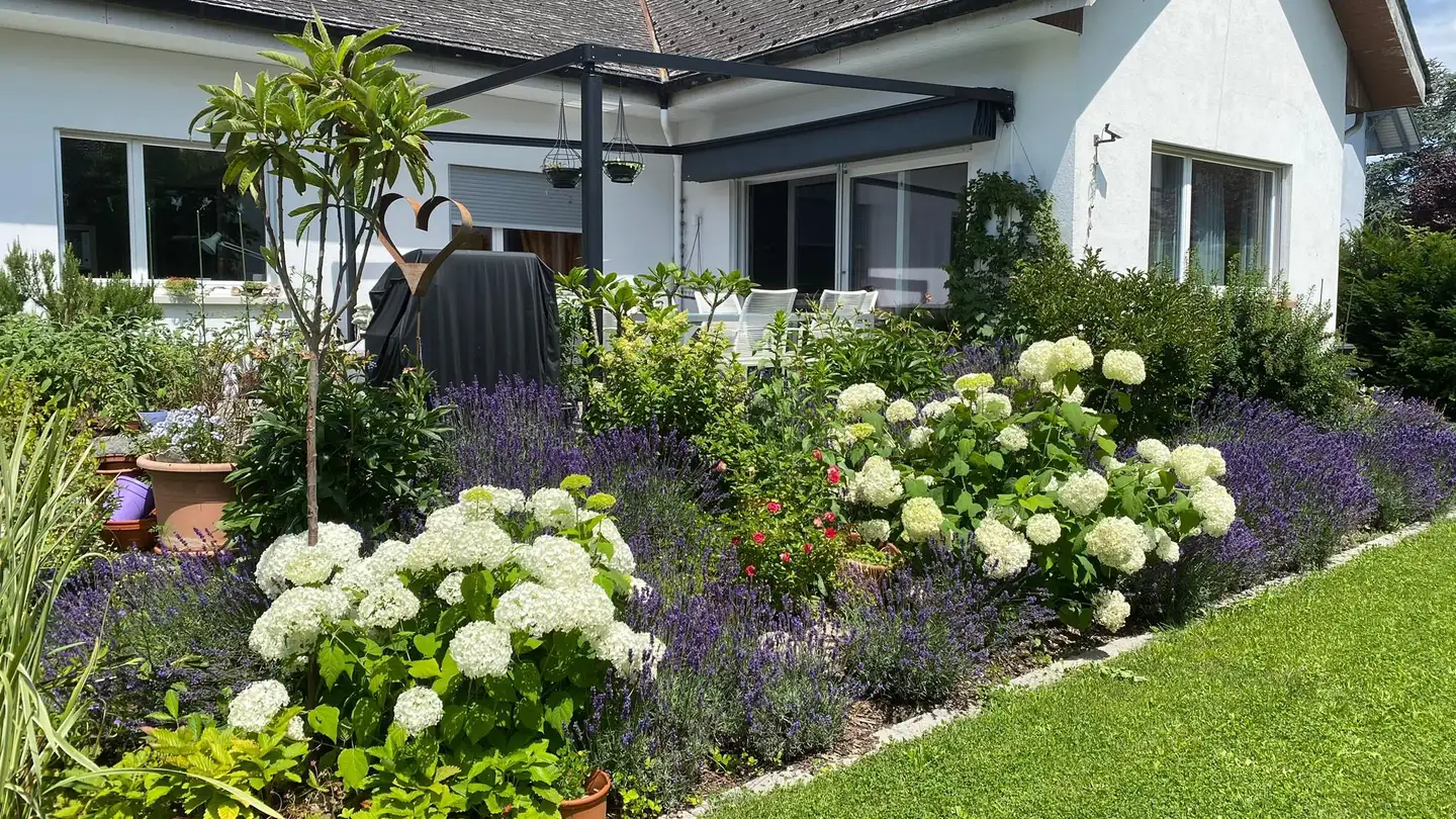 Casa singola in affitto - 3360 Herzogenbuchsee - Photo 2