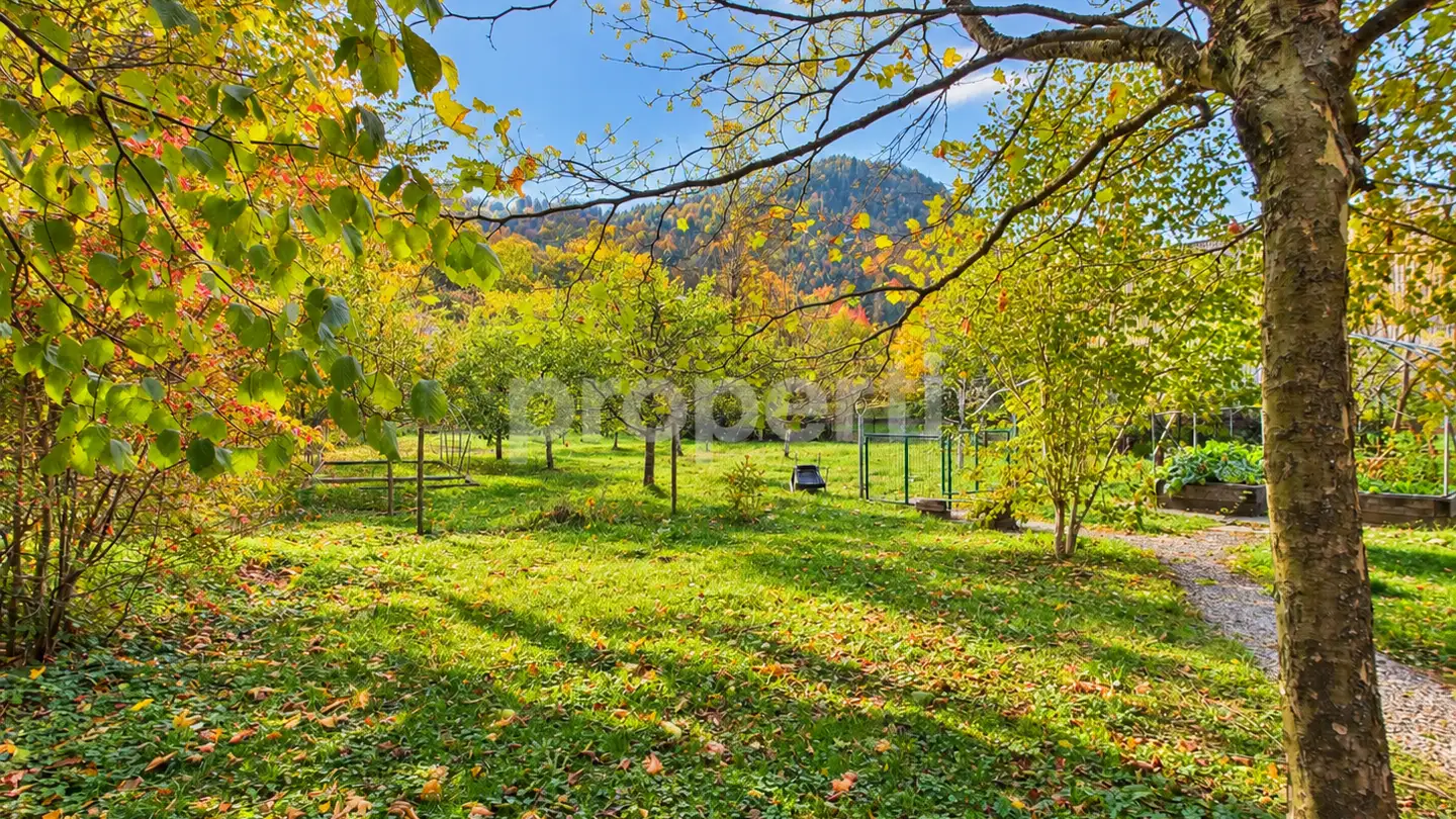 Chalet for sale - 1637 Charmey (Gruyère) - Photo 4