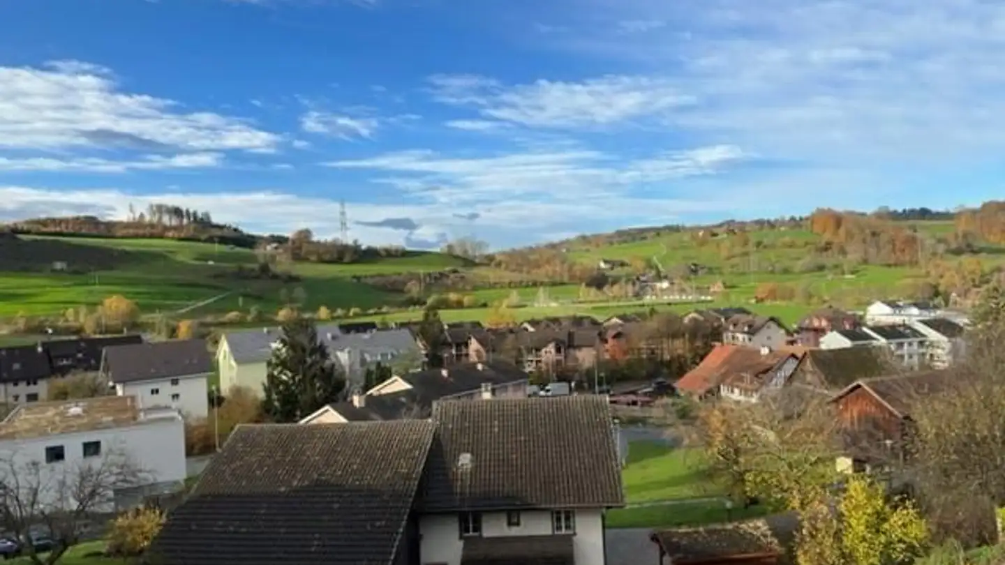 Duplex à louer - 8903 Birmensdorf ZH