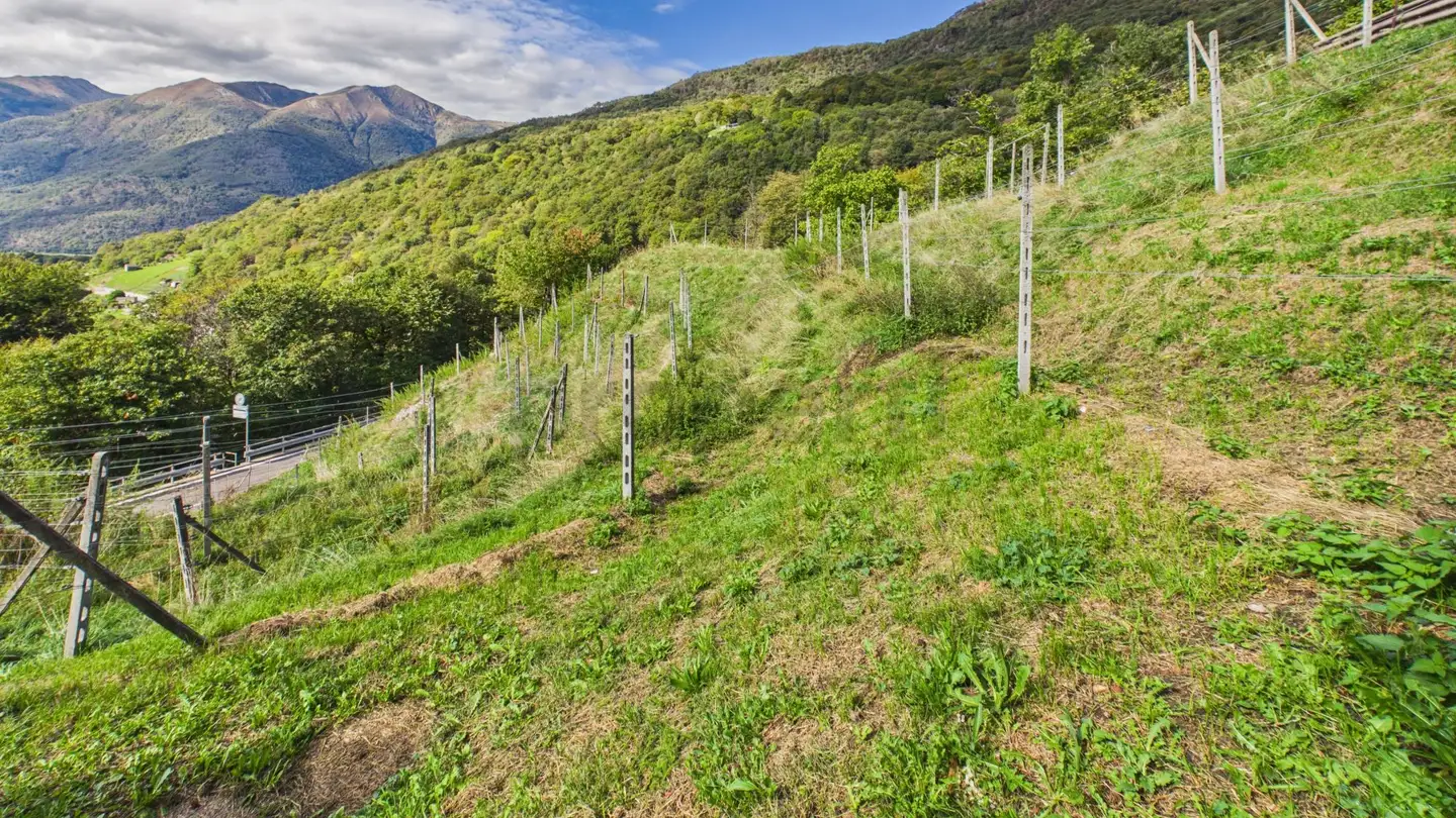 Constructible plot for sale - 6809 Medeglia - Photo 2