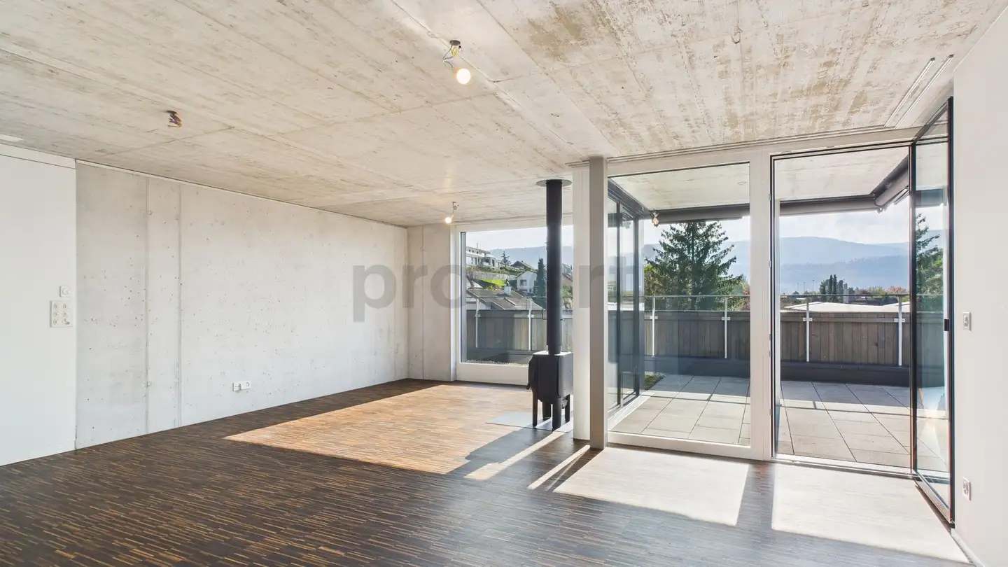 Penthouse for rent - 4106 Therwil