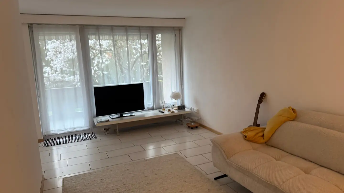 Furnished apartment for rent - 8610 Uster