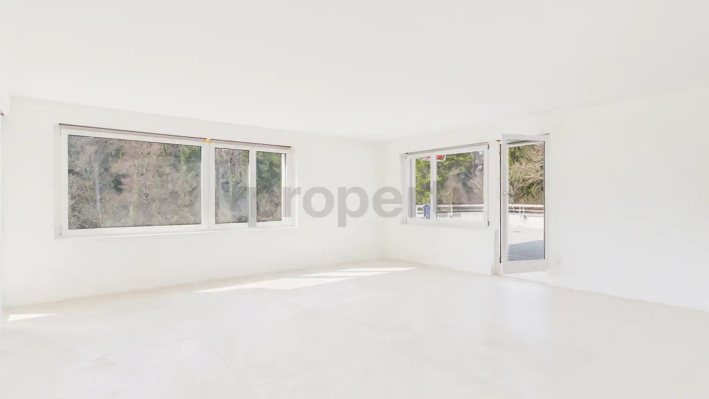 Attico in affitto - 8118 Pfaffhausen