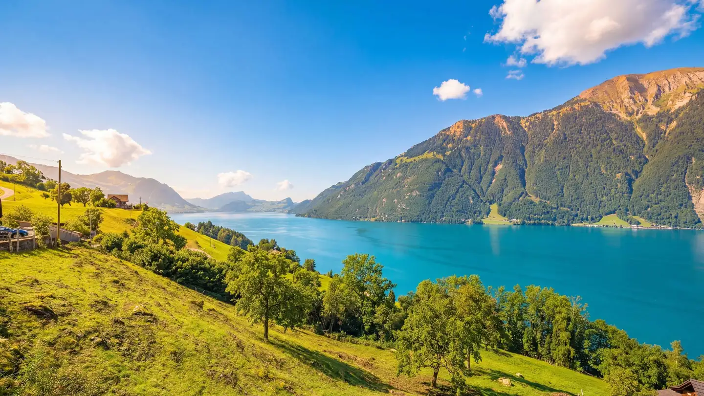 Terreno edificabile in vendita - 6377 Seelisberg - Foto 4