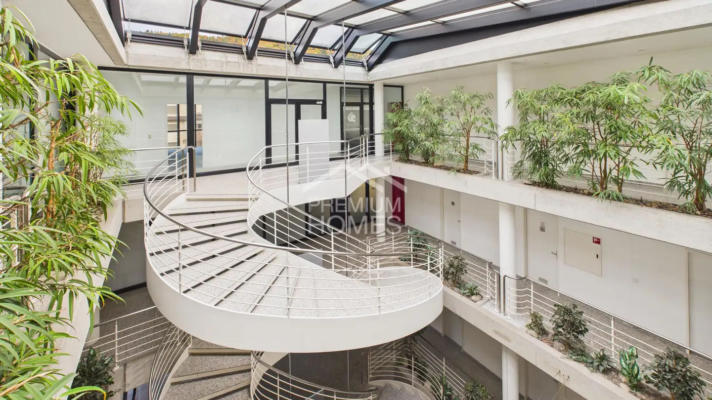 Commercial for sale - 8954 Geroldswil - Photo 4