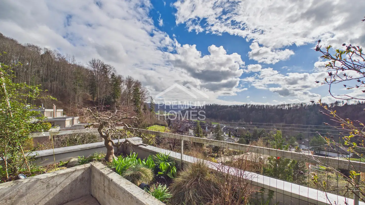 Wohnung kaufen - 8143 Stallikon - Foto 2