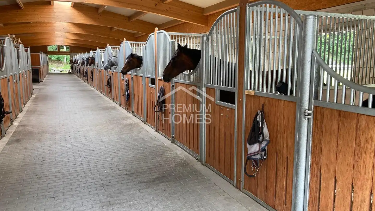 Casa singola in vendita - 3600 Thun - Foto 4