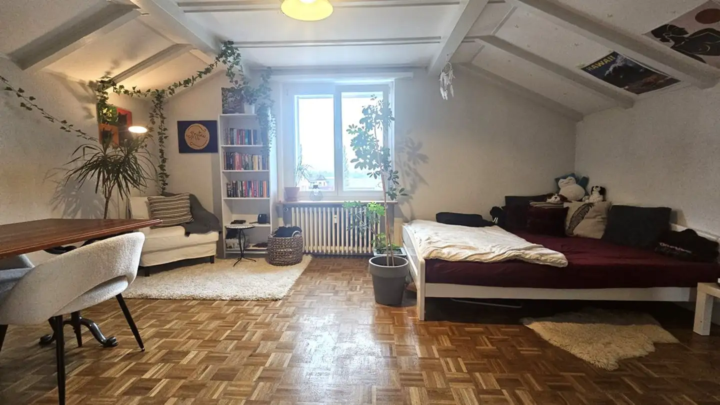 Appartamento in affitto - Grünmattweg 7, 8500 Frauenfeld - Photo 3