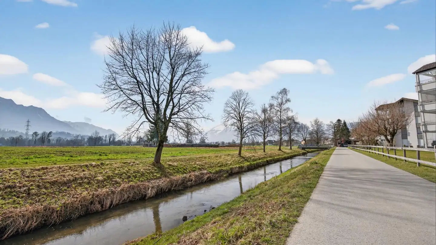 Appartement à vendre - Hofstatt 5, 9465 Salez - Photo 3