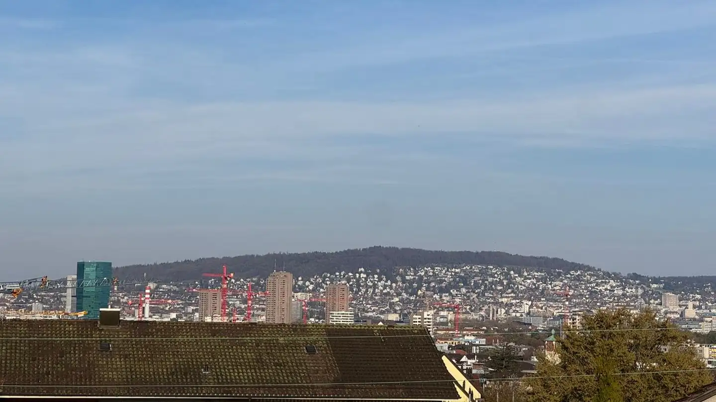 Single house for sale - 8047 Zürich - Photo 2